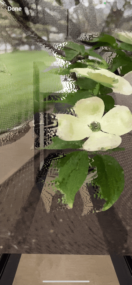 Halide’s AR mode.