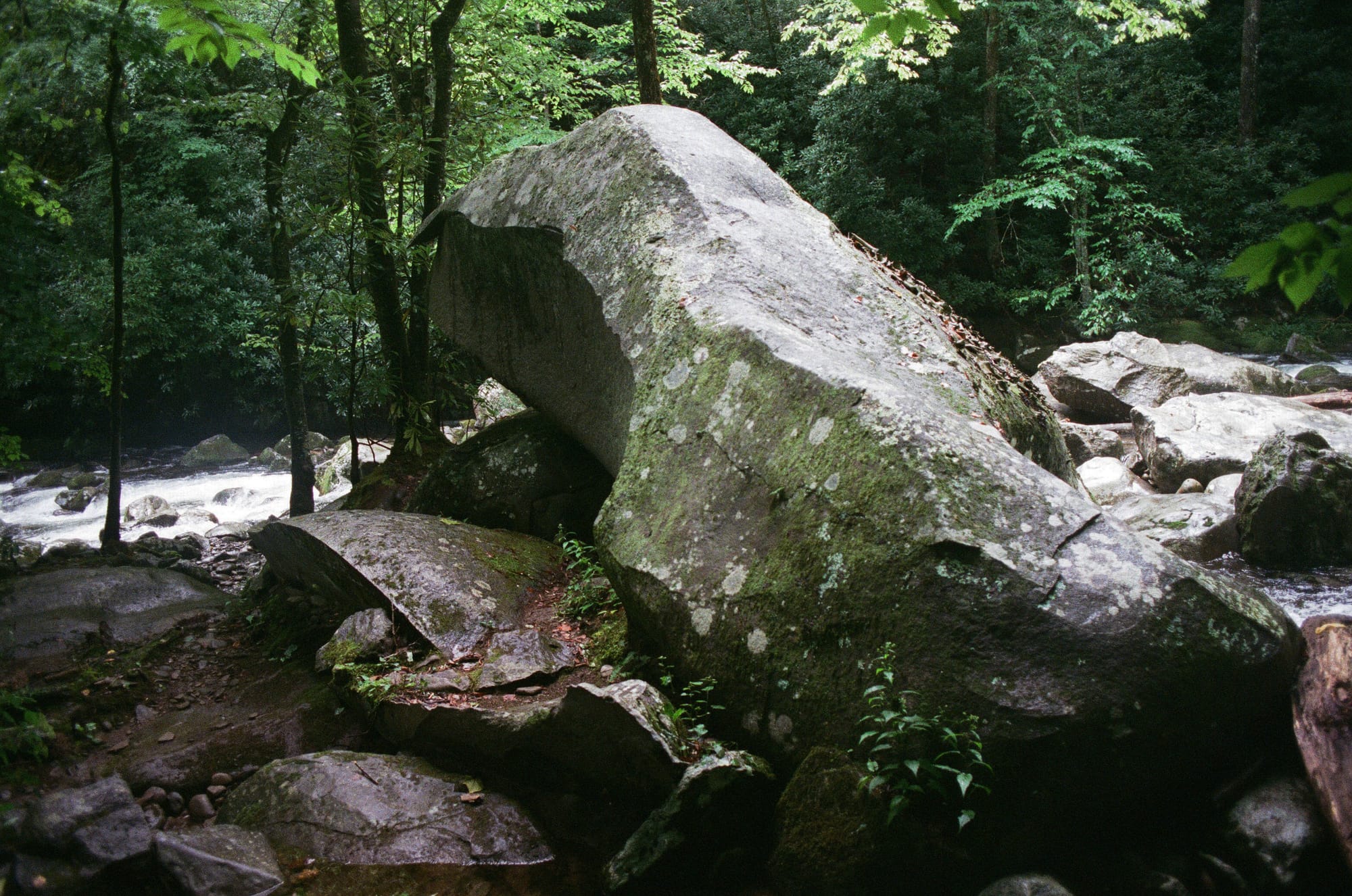 Olympus XA1 + Superia 400