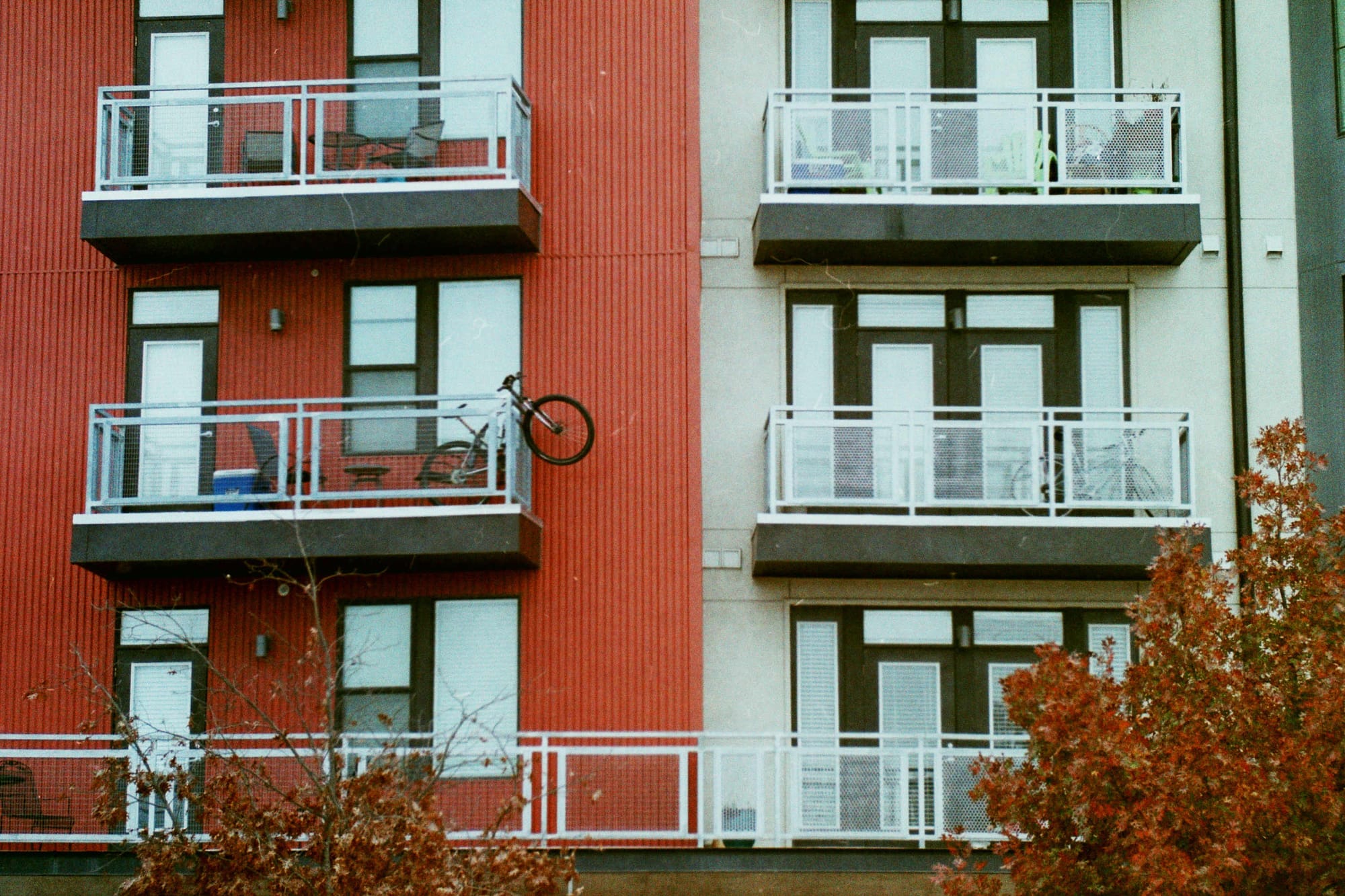  Leica R3 + Summicron-R 90mm + Fujicolor C200 