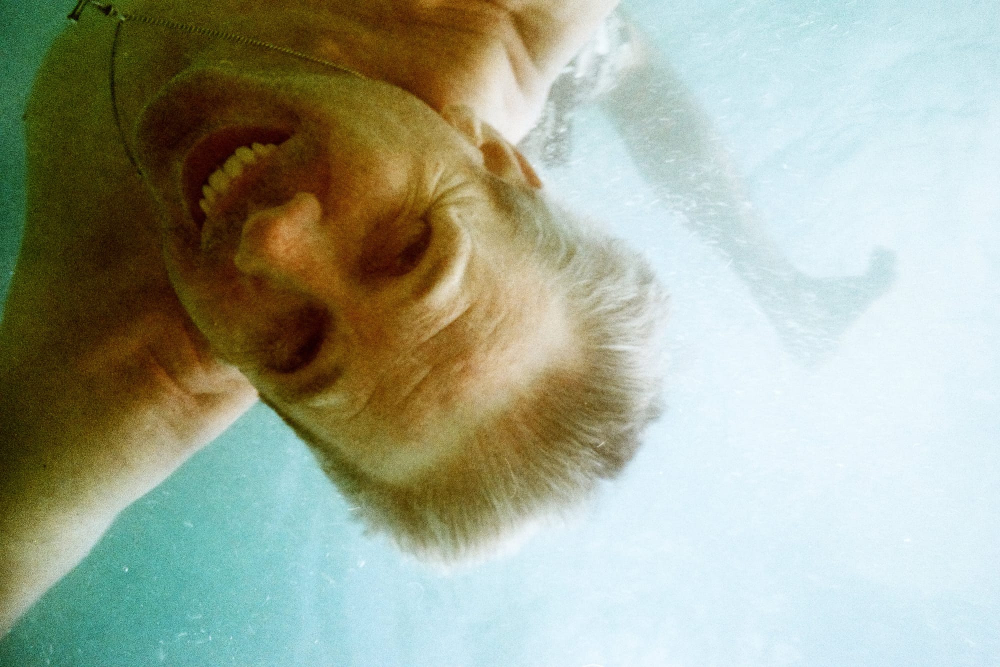  Nikonos V + UW Nikkor 28mm + Fujicolor C200 