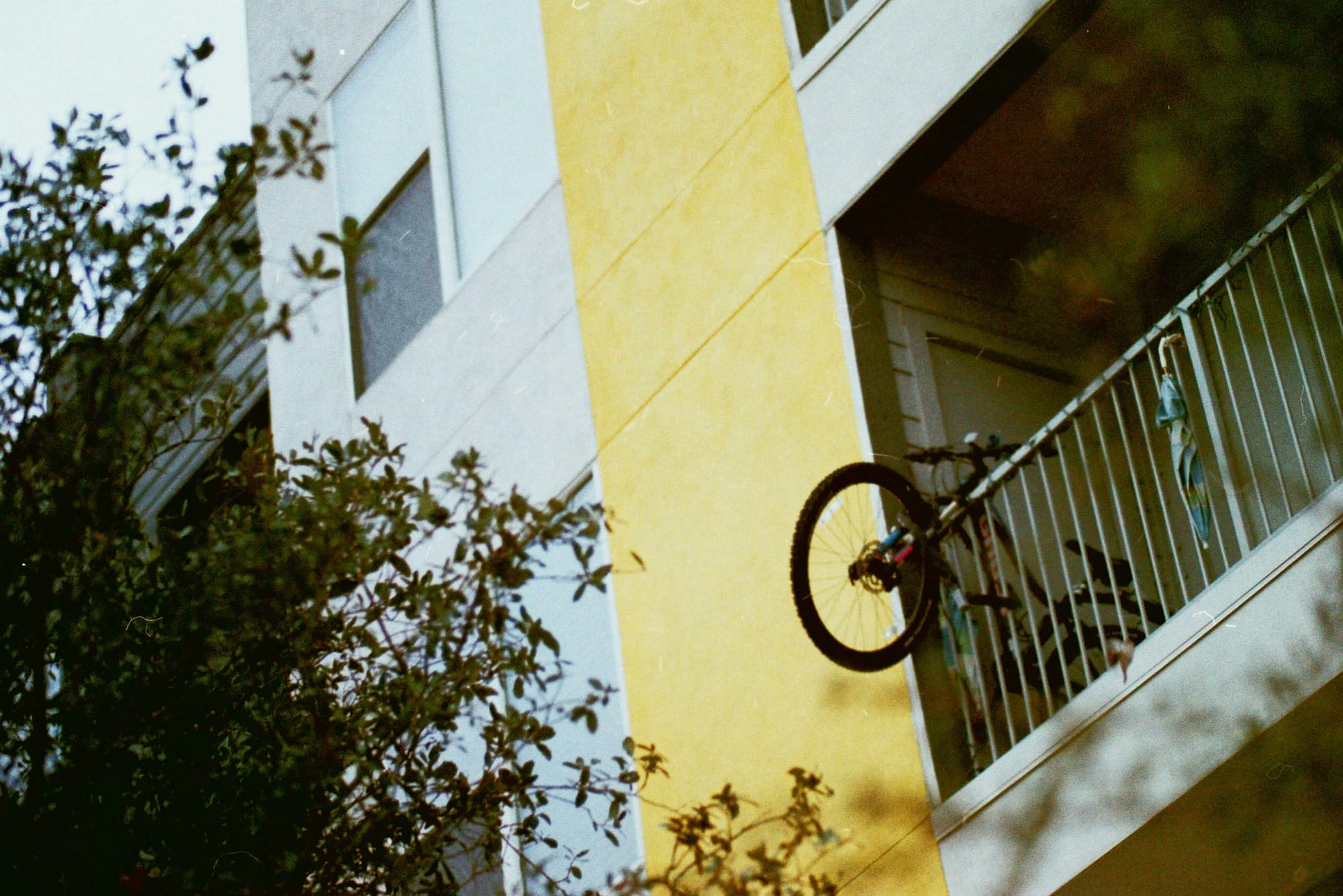 Leica R3 + Summicron-R 90mm + Fujicolor C200