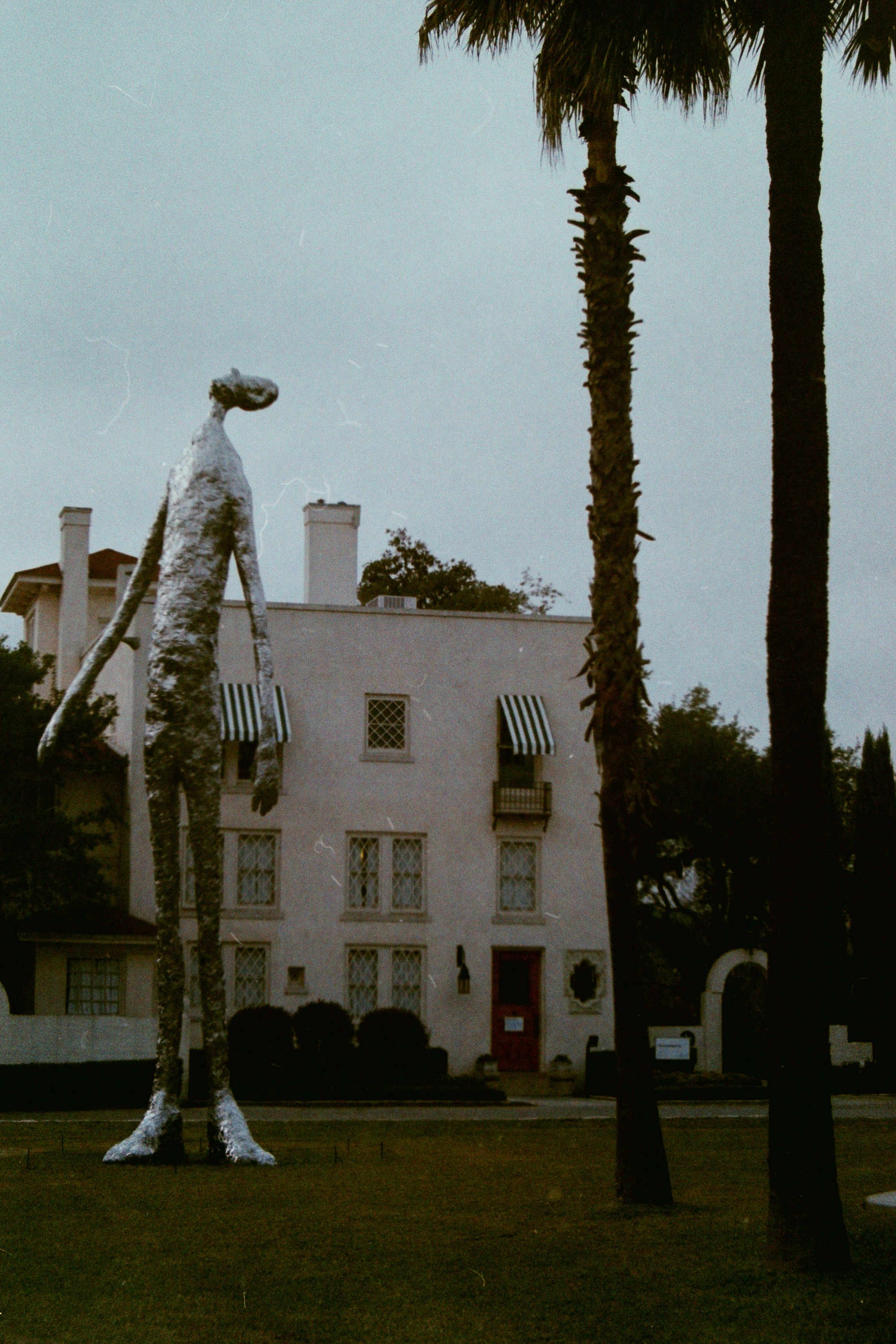Tom Friedman, Looking Up, 2015 Leica R3 + Elmarit-R 28mm + Fujicolor C200