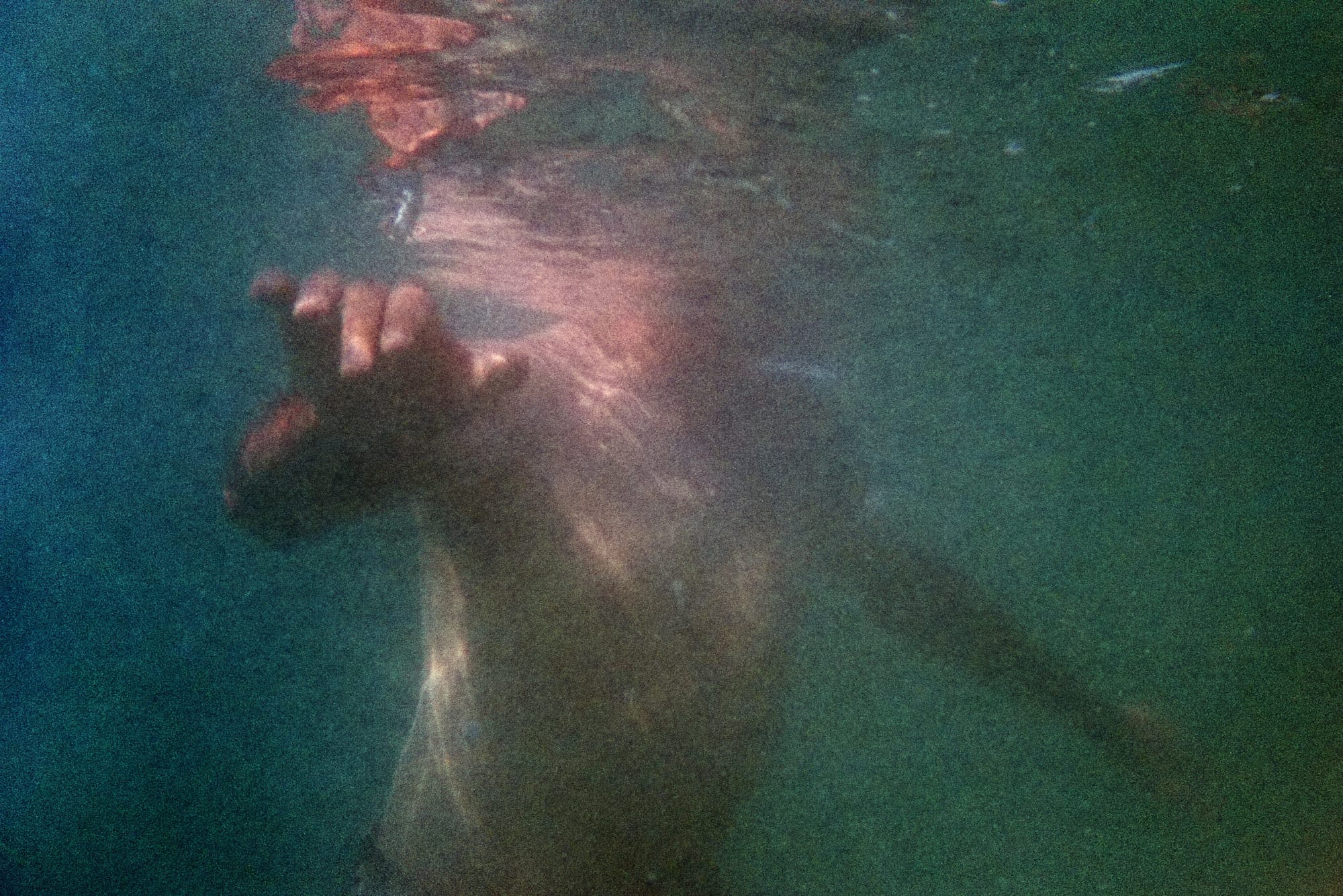 Nikonos V + UW Nikkor 28mm + Fujicolor C200