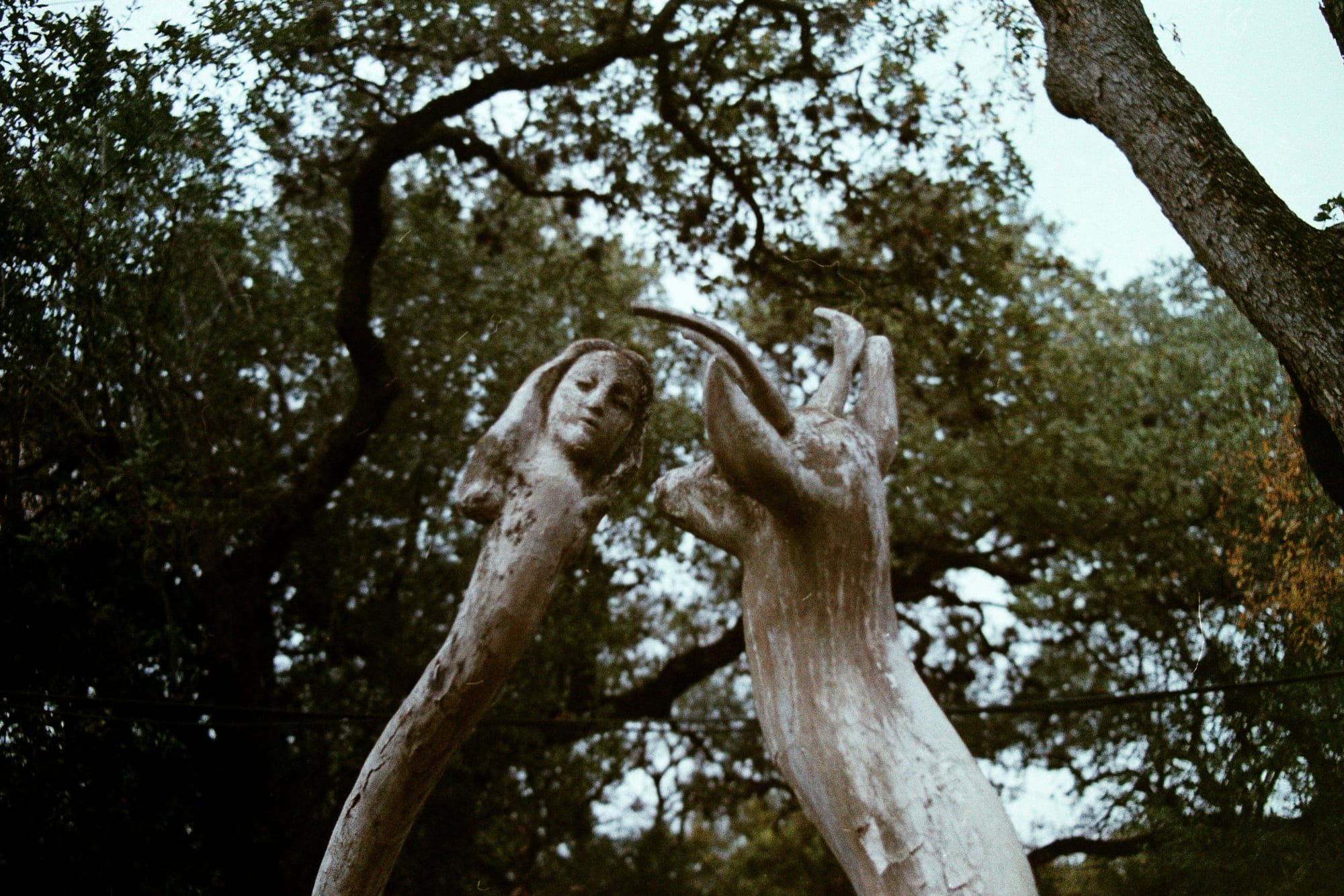 Leica R3 + Summicron-R 90mm + Fujicolor C200