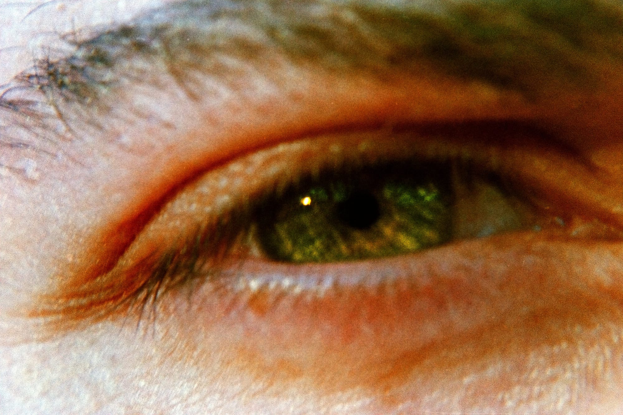 Leica R3 + Summicron-R 90mm + Superia 400