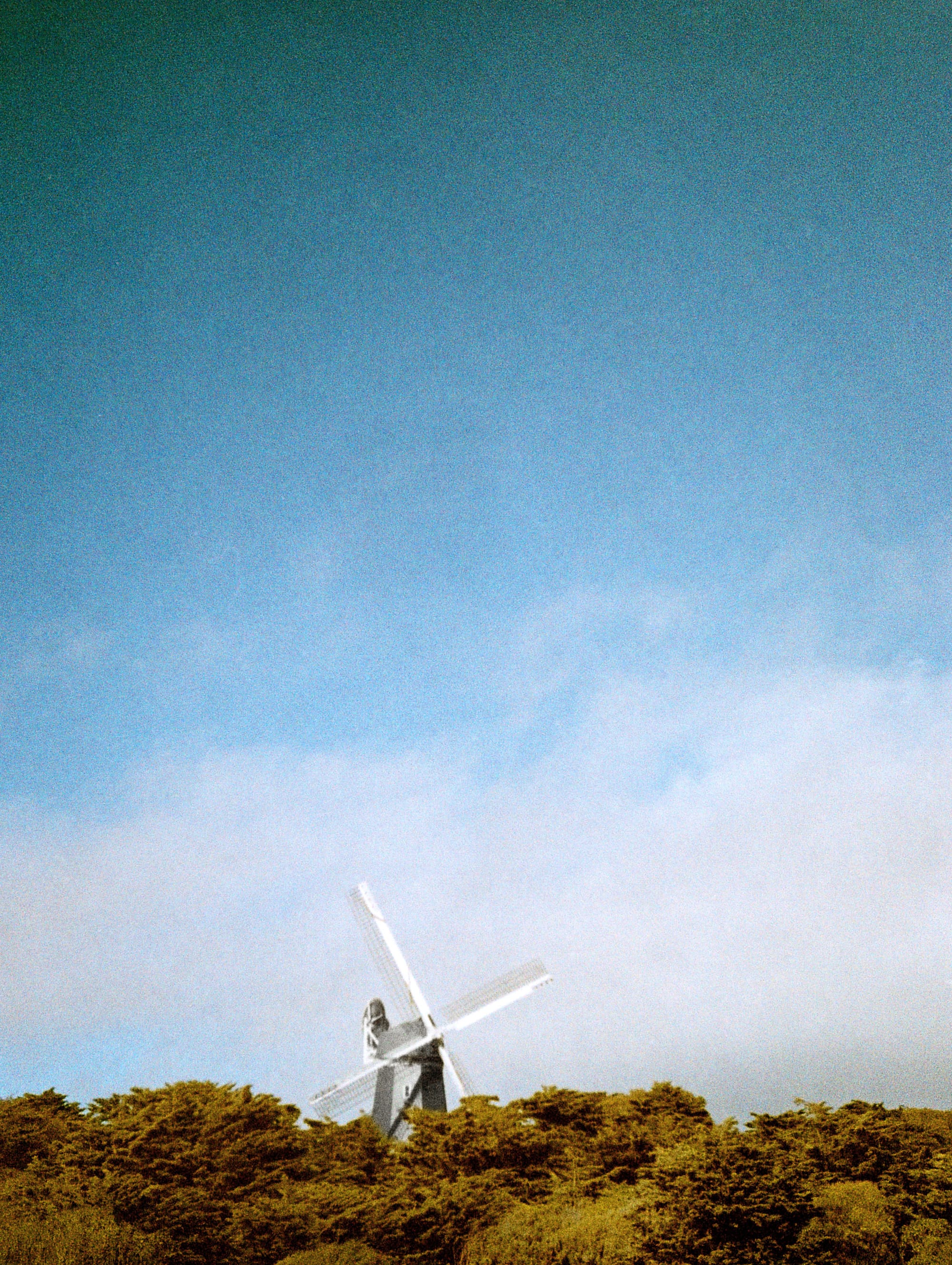 Olympus XA1 + Superia 400