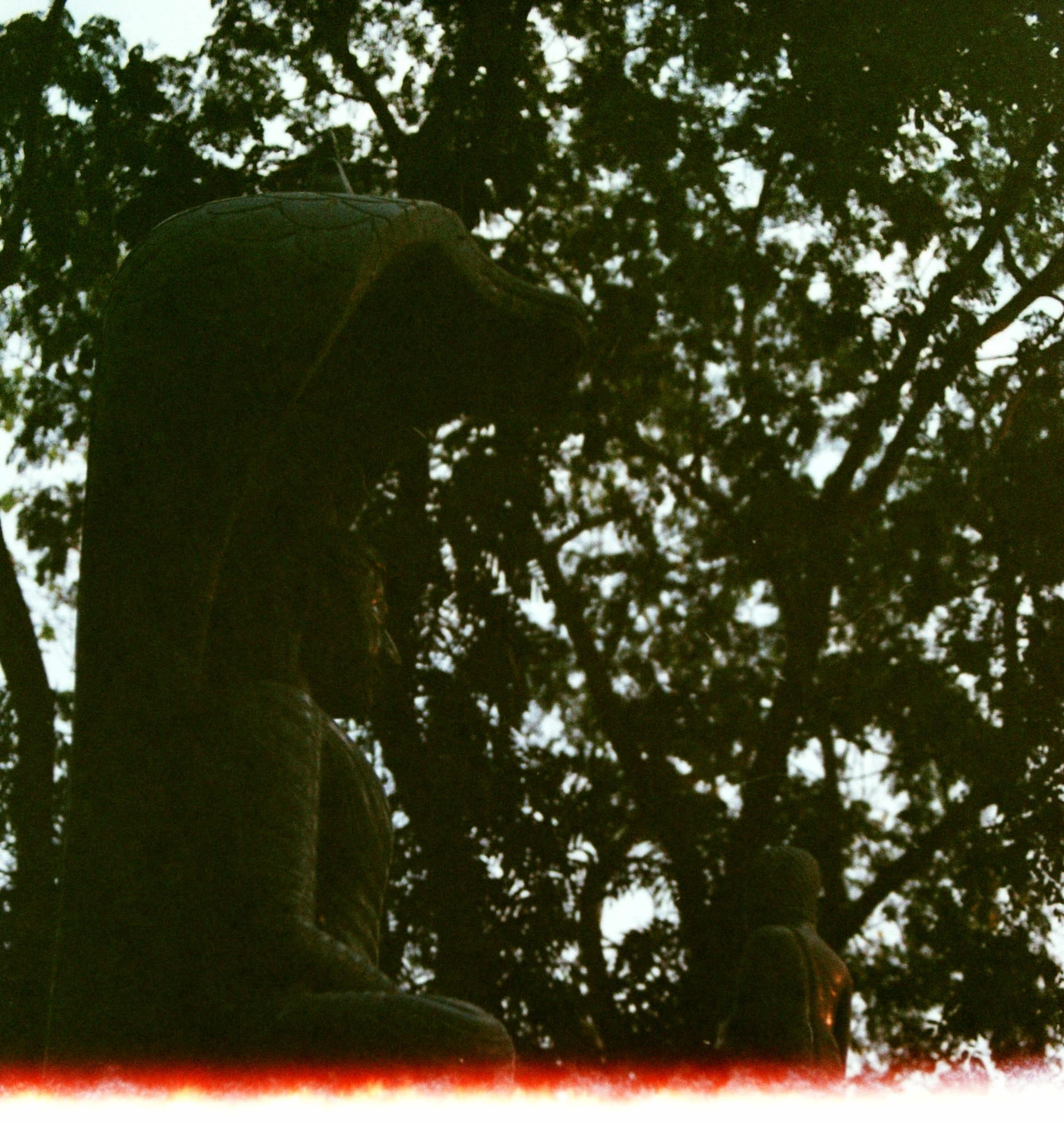 Leica R3 + Summicron-R 90mm + Superia 400