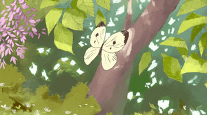 01.2026 Chrysalis